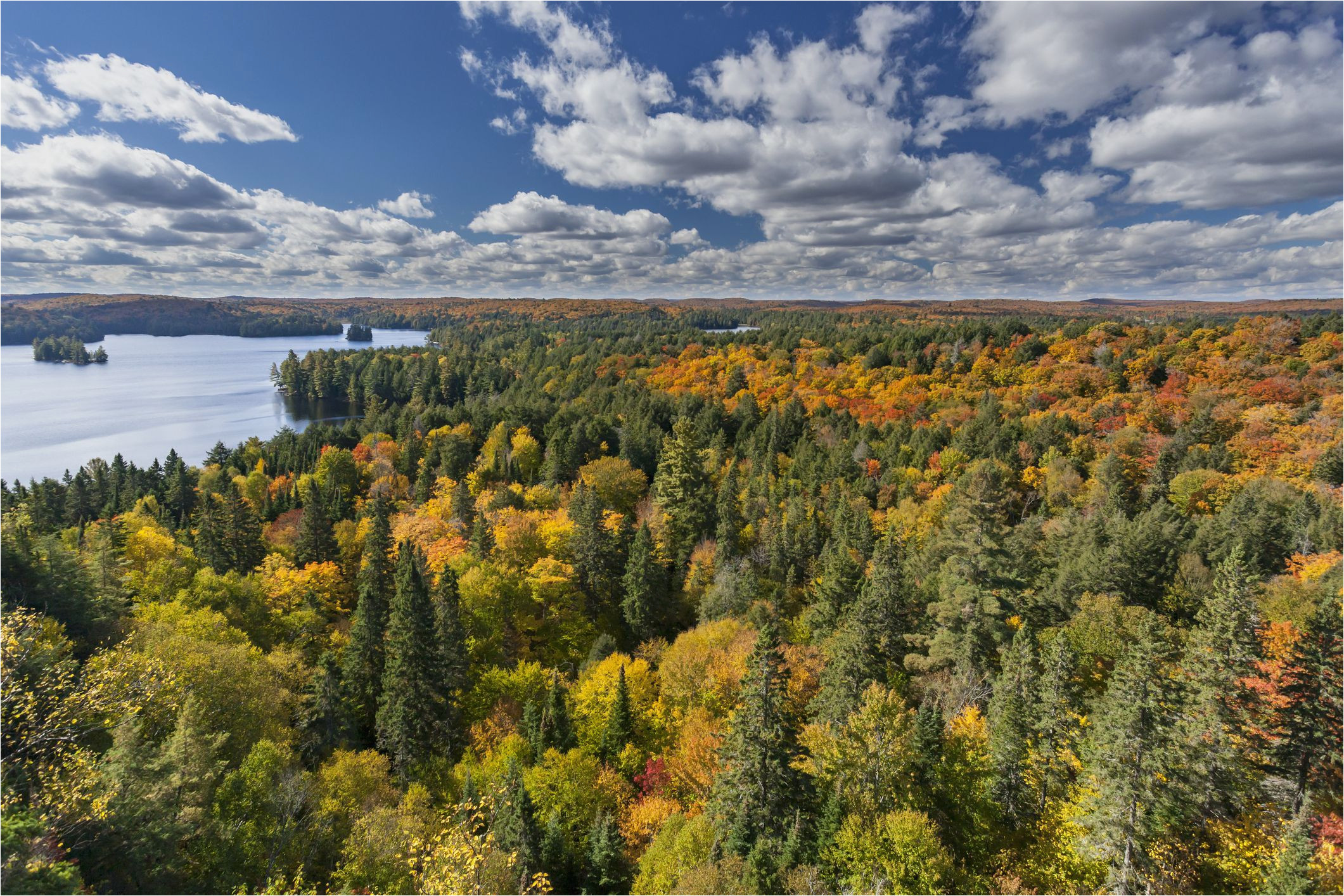 canada fall foliage reports