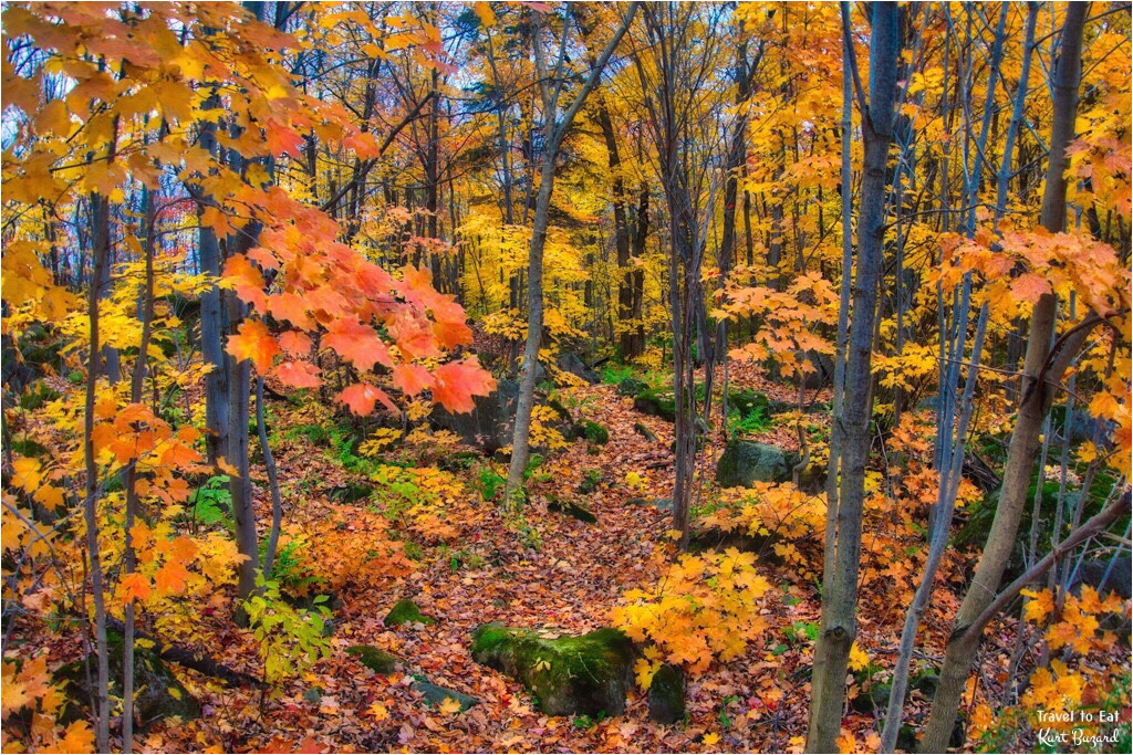 fall foliage in quebec travel to eat