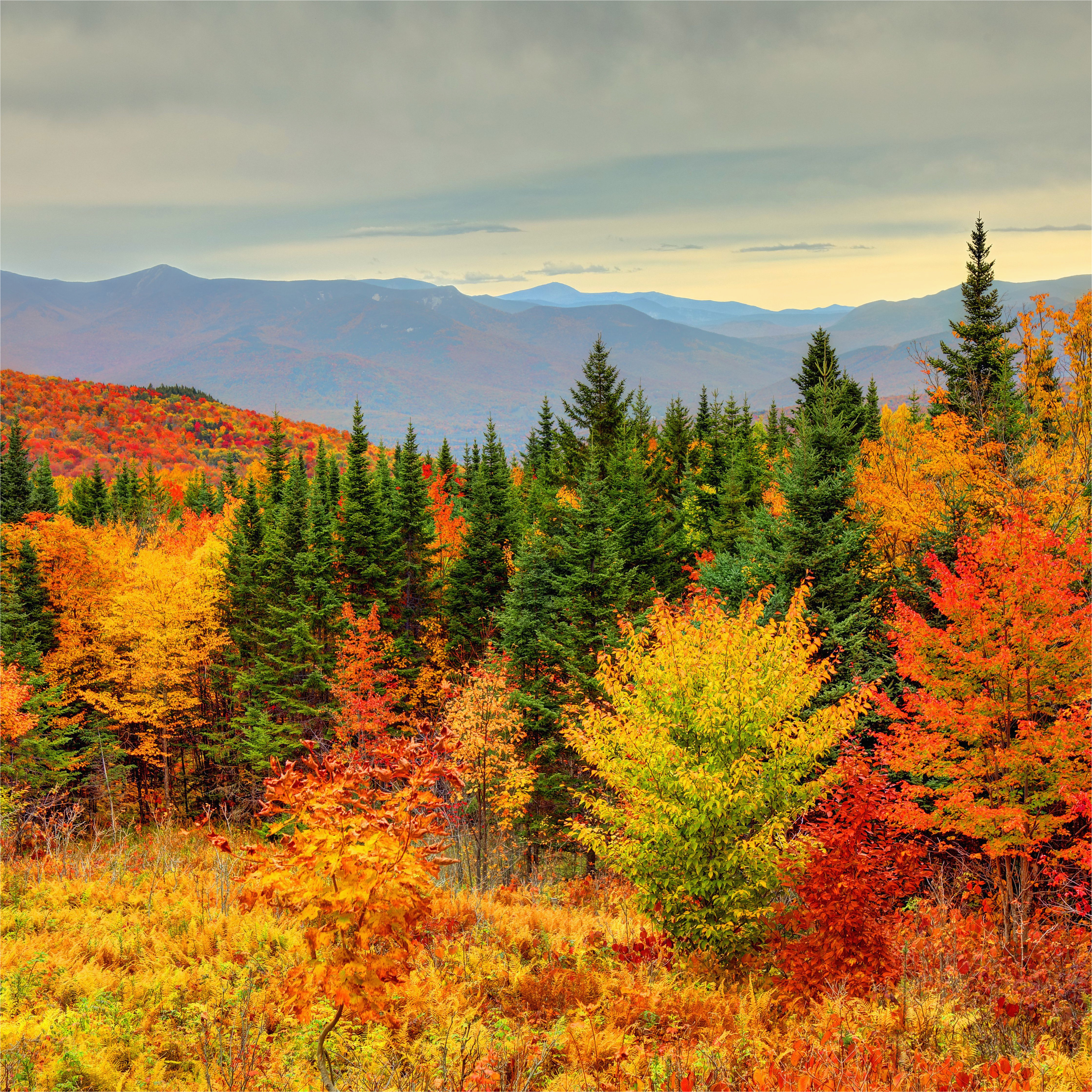 how to see new england fall foliage at its peak
