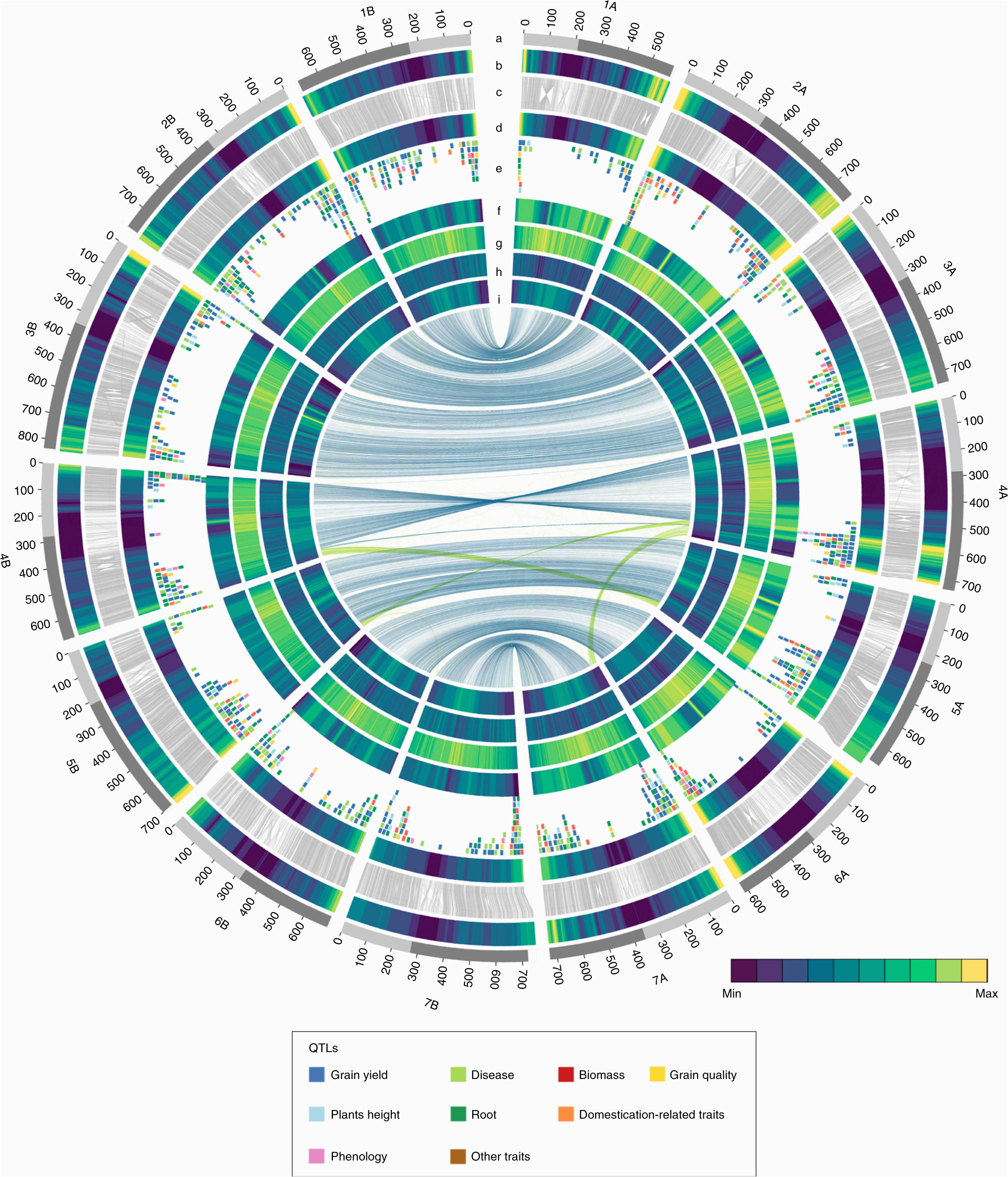 durum wheat genome highlights past domestication signatures and