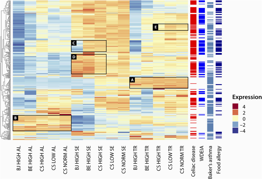 genome mapping of seed borne allergens and immunoresponsive proteins