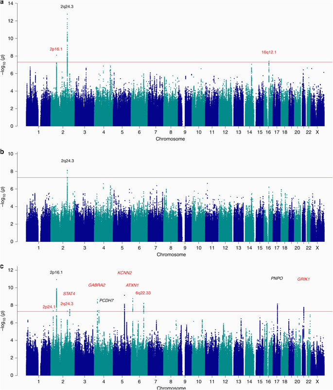 genome wide mega analysis identifies 16 loci and highlights diverse