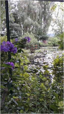 le jardin des nympheas picture of giverny eure tripadvisor