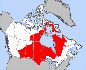 list of hudson bay rivers revolvy