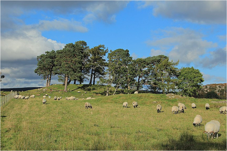 craigh na dun modern stone circle monolith the megalithic portal