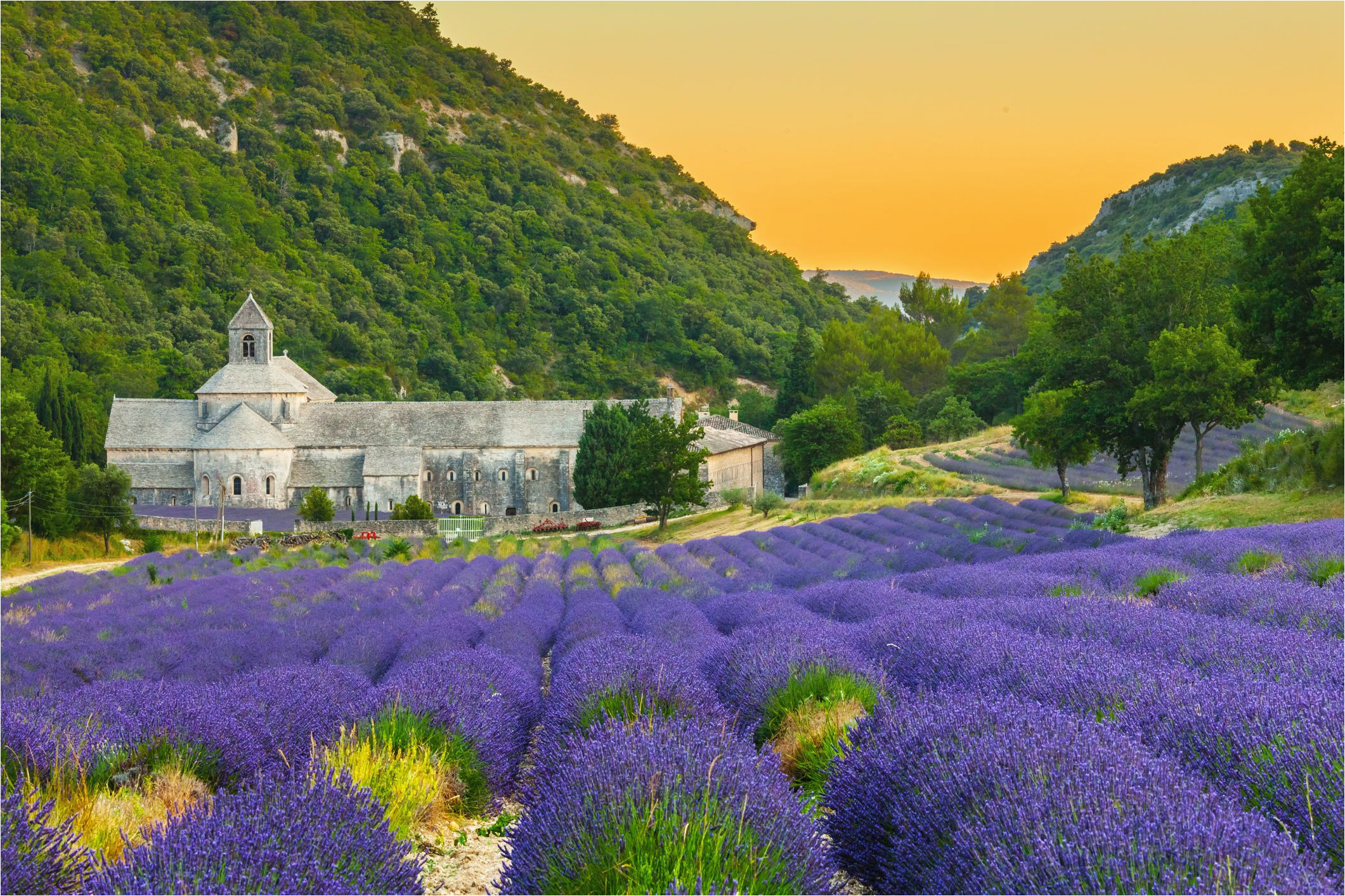 the 10 best things to do in provence france