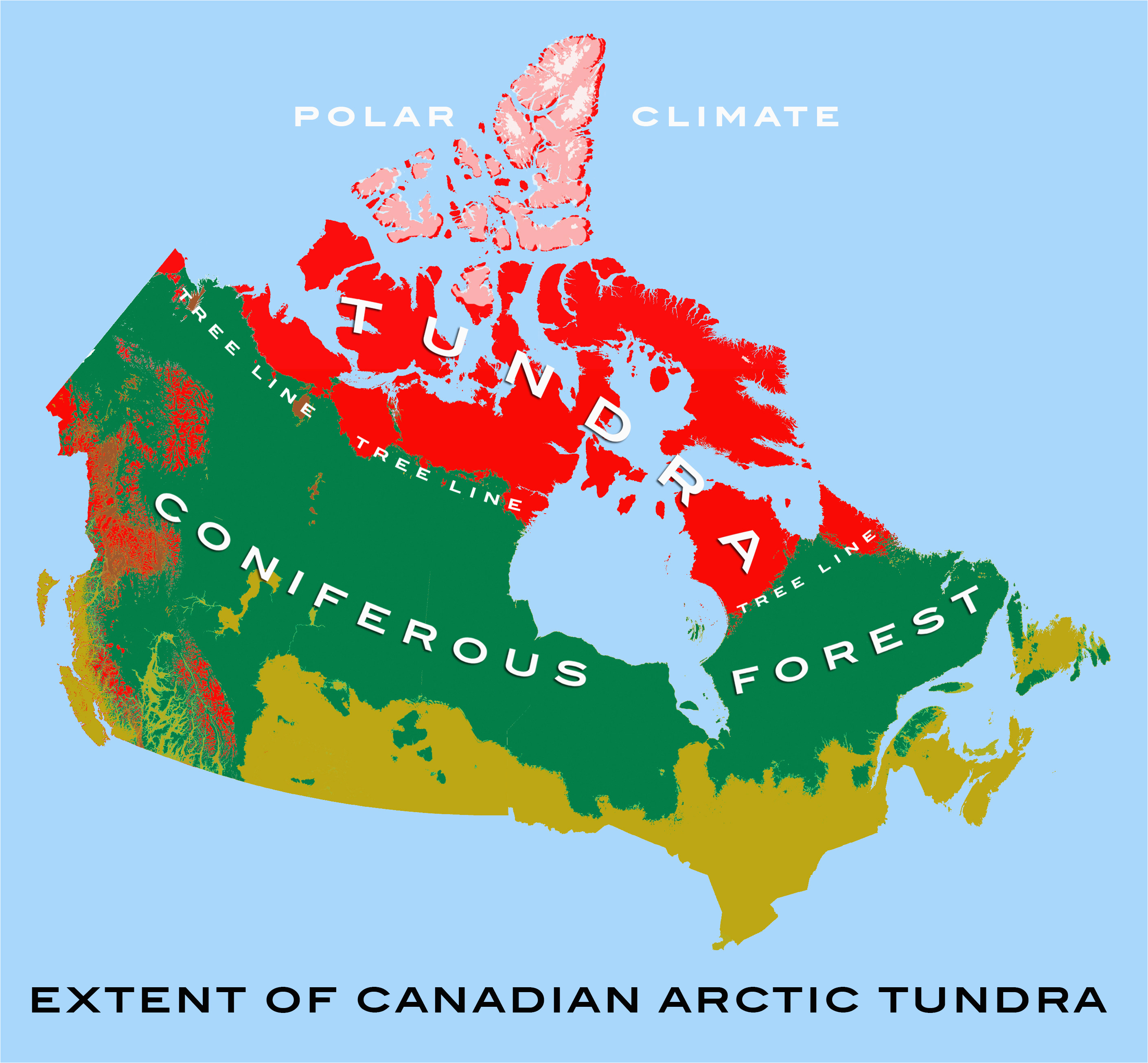 canadian arctic tundra wikipedia