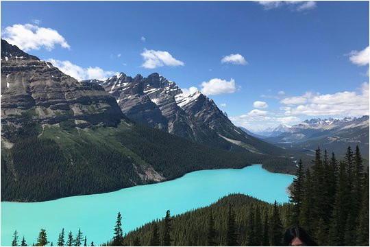 lake louise and the icefield parkway full day tour