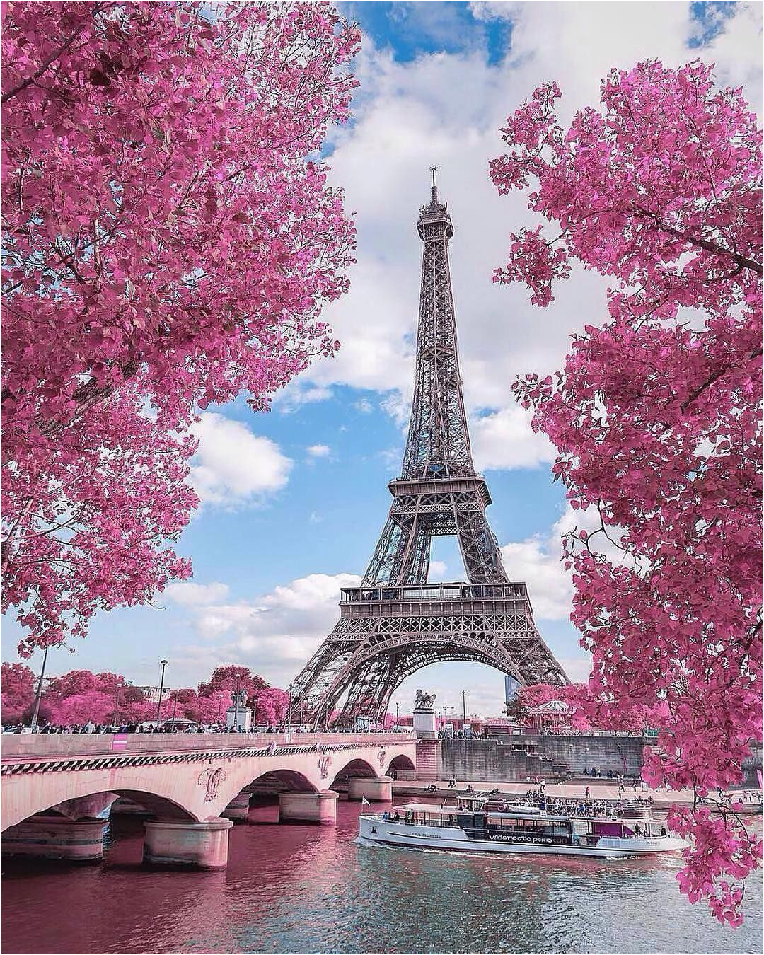pink view at eiffel tower d paris france photo by kyrenian