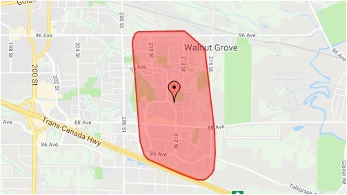 fallen tree leaves more than 2 800 langley customers without