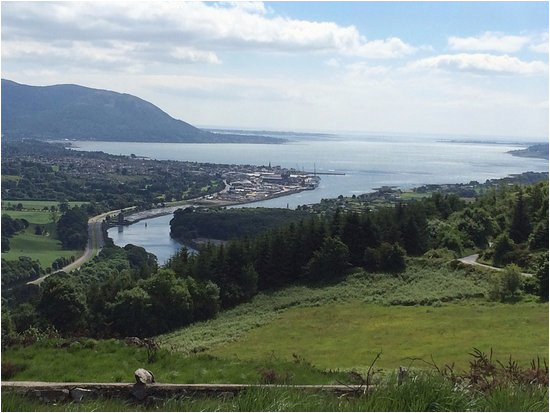 view of carlingford lough and mourne mountains from flagstaff