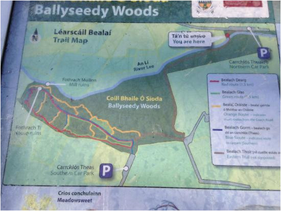 map of trails picture of ballyseedy woods tralee tripadvisor
