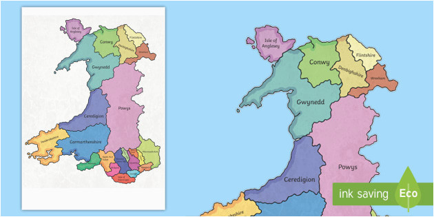 map of wales display pieces cennin pedr cennin daffodil leek cymru