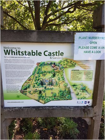 map of the grounds picture of whitstable castle gardens