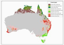 forests of australia wikipedia