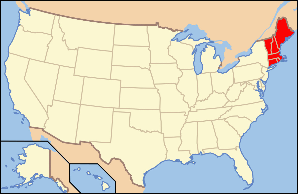 list of mammals of new england wikipedia