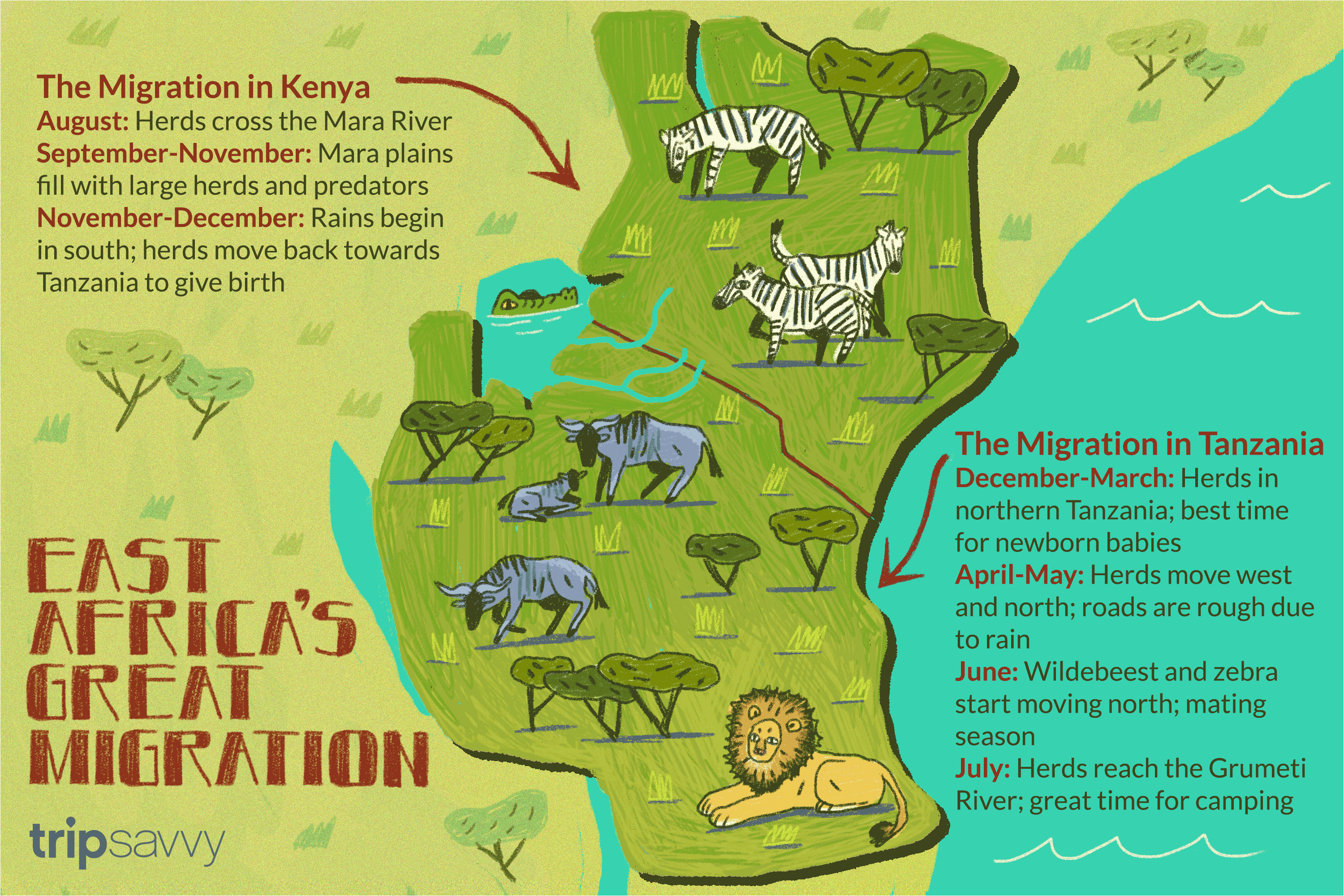 how to experience east africa s annual great migration
