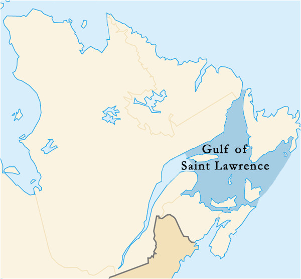 gulf of saint lawrence wikipedia