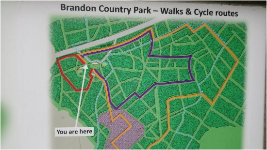 map of the walks picture of brandon country park brandon
