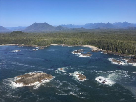 atleo river air service day tours tofino all you need to know