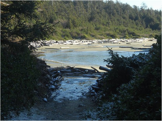 combers beach picture of long beach tofino tripadvisor