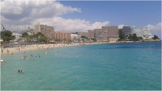 the 5 best things to do in magaluf 2019 with photos tripadvisor