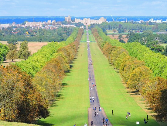 windsor great park updated 2019 all you need to know before you