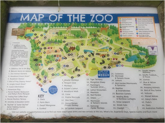 map of the zoo picture of banham zoo banham tripadvisor