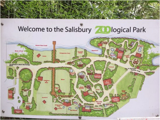salisbury zoo 2019 all you need to know before you go