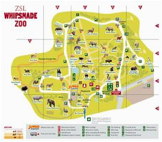 50 best zoo maps images in 2018 zoo map parks the zoo