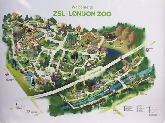 zsl london zoo aktuelle 2019 lohnt es sich mit fotos