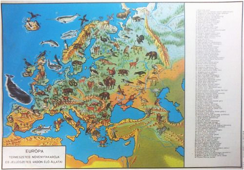 natural vegetation and characteristic wild animals of europe