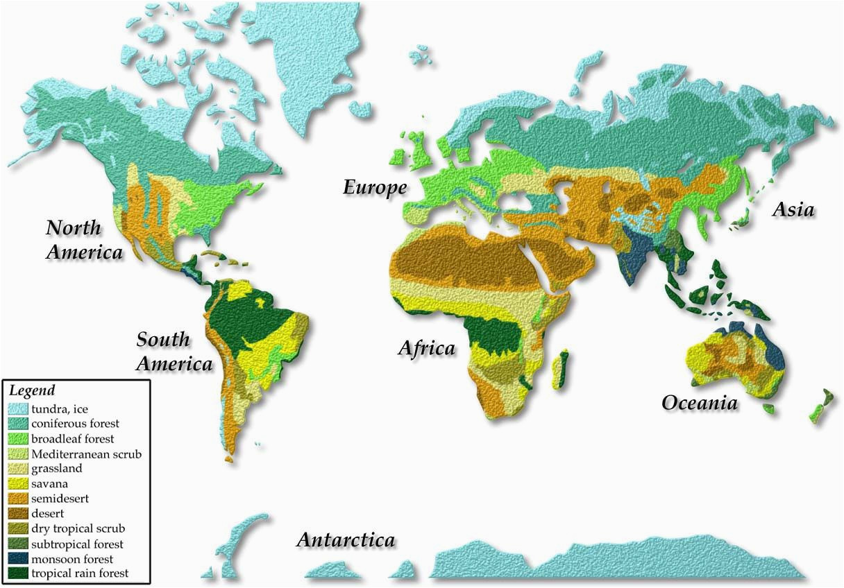 vegetation map of the world cyndiimenna