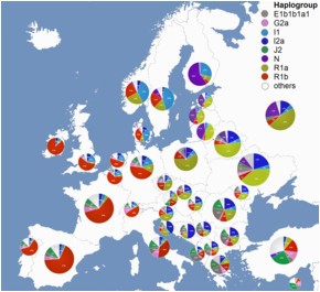 genetic history of europe wikipedia