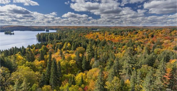 Canada Fall Foliage Map Canada Fall Foliage Reports