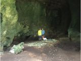 Caves In Georgia Map Crooked island Caves Long island 2019 All You Need to Know