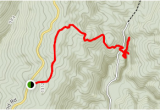 Caves In Tennessee Map Buggytop Trail to Lost Cove Cave Tennessee Alltrails