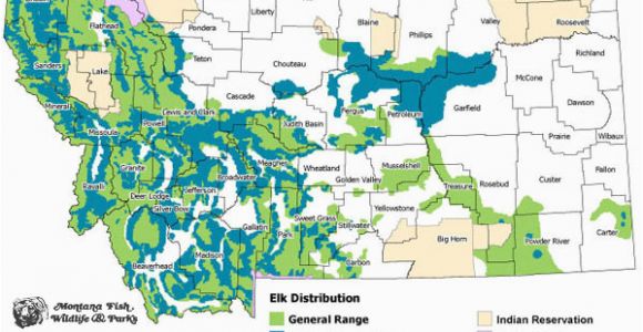 Colorado Elk Migration Map Elk Montana Field Guide