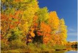 Colorado Fall Colors Map 49 Best Wisconsin S Fall Color Images Wisconsin Wisconsin Fall