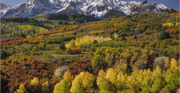 Colorado Fall Colors Map Tips to See Fall Foliage In Colorado