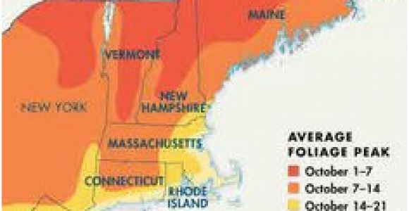 Fall Color Map New England 8 Best Autumn Foliage Maps Images In 2014 Fall Foliage Map