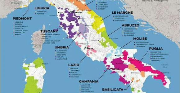 Food Map Of Italy Vinos Italia Wine Wine Italian Wine Wine Folly