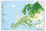 Forests In Europe Map Ville Pekkala On Maps forest Map European Map Map