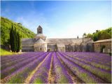 France Lavender Fields Map the Most Beautiful Places In France Conde Nast Traveler