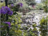 Giverny Map France Le Jardin Des Nympheas Picture Of Giverny Eure Tripadvisor