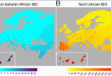 Haplotype Map Europe Genetic History Of Europe Wikiwand