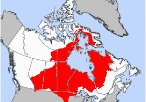 Hudson Bay Map Of Canada List Of Hudson Bay Rivers Revolvy