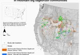 Huffman Texas Map Artemisia Tridentata Subsp Vaseyana