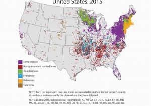 Lyme Disease In Michigan Map Tick Borne Diseases Lyme Disease Rocky Mountain Spotted Fever