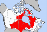 Map Of Canada Hudson Bay List Of Hudson Bay Rivers Revolvy